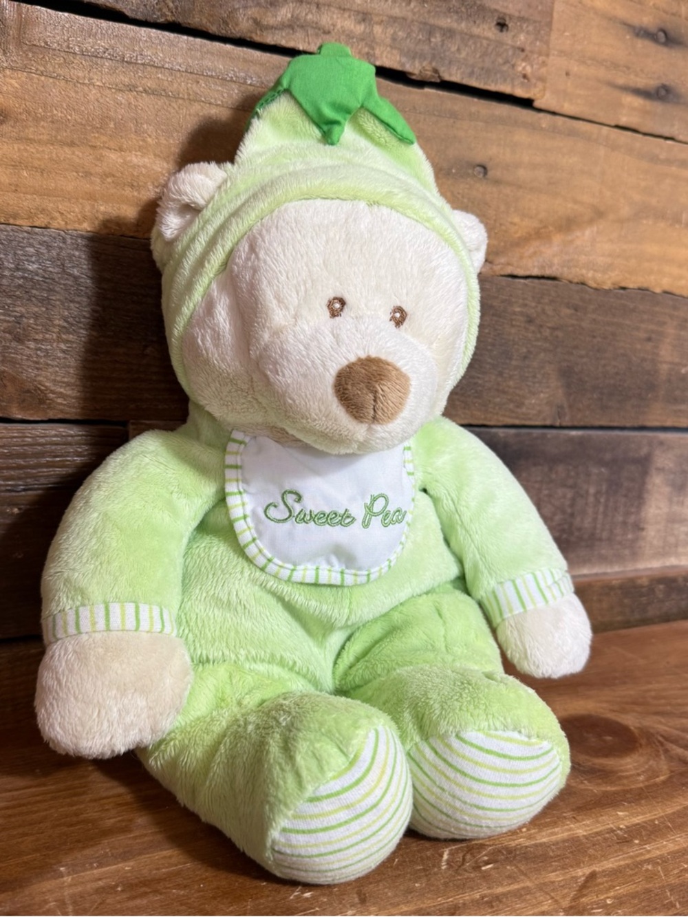 Baby Ganz Sweet Pea Bear 12” Plush Bean Bag Stuffed Animal Green Bib BG2241